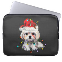 Malteser Hund Weihnachten, maltesischer Hund