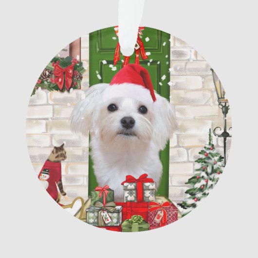 Malteser Hund Weihnachten Ornament (Vorderseite)