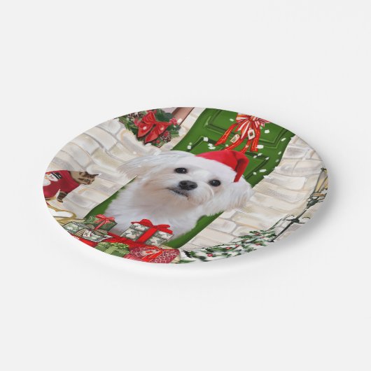 Malteser Hund Weihnachten Pappteller (Schrägansicht)