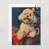 Malteser Hund Weihnachten Postkarte (Vorne/Hinten)