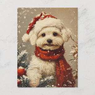 Malteser Hund Weihnachten Postkarte