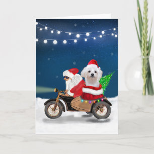 Malteser Hund Weihnachten Weihnachtsmann Karte