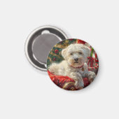 Malteser Hund Weihnachtsfest Magnet (Vorderseite/Rückseite)