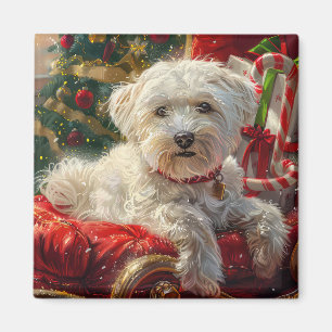 Malteser Hund Weihnachtsfest Magnet