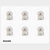 Malteser Hund White Runder Aufkleber (Blatt)