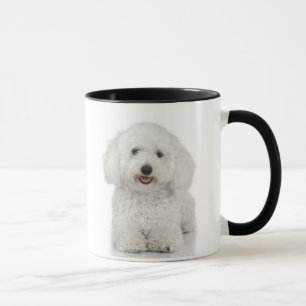 Malteser Hund White Tasse