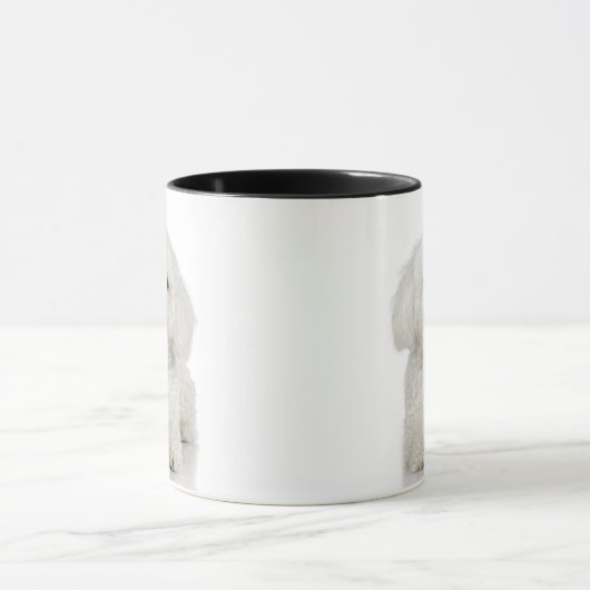 Malteser Hund White Tasse (Zentrum)