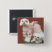 Malteser Hunde Button (Vorne & Hinten)
