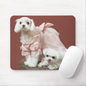 Malteser Hunde Mousepad (Mit Mouse)