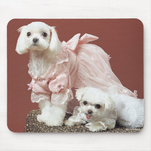 Malteser Hunde Mousepad (Vorne)