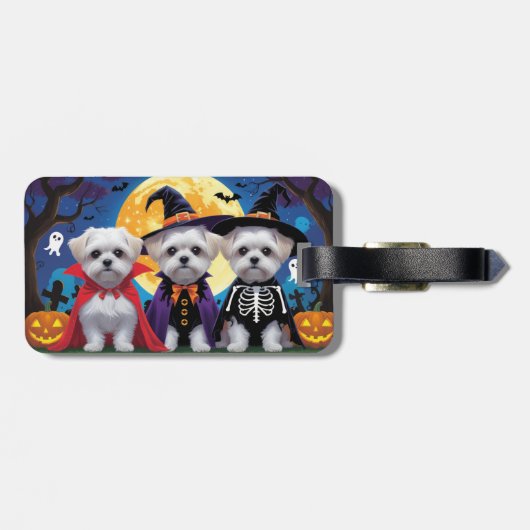Malteser Hunde Pumpkin Halloween Funny Gepäckanhänger (Rückseite horizontal)