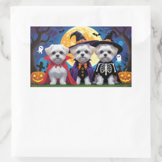 Malteser Hunde Pumpkin Halloween Funny Rechteckiger Aufkleber (Tasche)