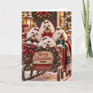 Malteser Hunde Weihnachtskarte Karte