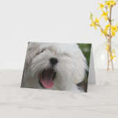 Malteser Hundeausweis Karte (Gelbe Blume)