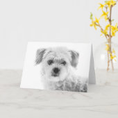 Malteser Hundegrußkarte Karte (Gelbe Blume)