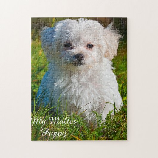 Malteser Hundezüchter Jigsaw Puzzle (Vertikal)
