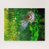 Malteser Hundezüchter Puzzle (Horizontal)