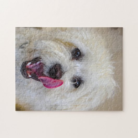 Malteser Hundezüchter Puzzle (Horizontal)