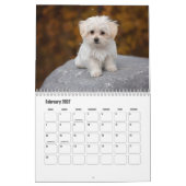 Malteser Kalender (Feb 2027)