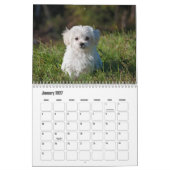 Malteser Kalender (Jan 2027)