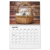 Malteser Kalender (Mär 2026)