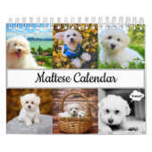 Malteser Kalender (Titelbild)
