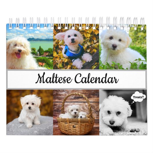 Malteser Kalender (Titelbild)
