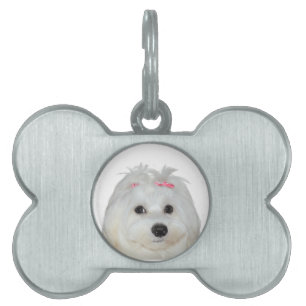 Malteser Liebe süßer Hund Lili Tiermarke