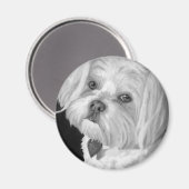 Malteser Magnet (Vorderseite/Rückseite)