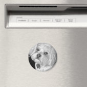 Malteser Magnet (In Situ (Geschirrspüler))