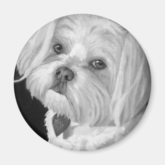 Malteser Magnet (Vorne)