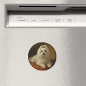 Malteser Magnet (In Situ (Geschirrspüler))