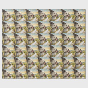 Malteser-Malbuch-Geschenkpapier Geschenkpapier