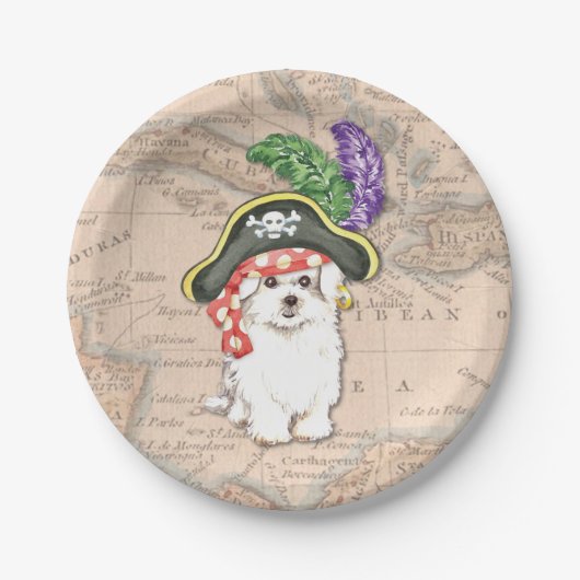 Malteser Pirate Pappteller (Vorderseite)