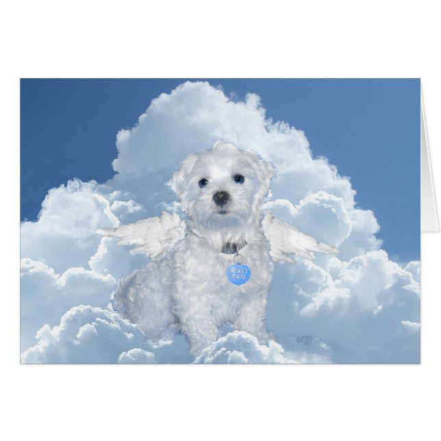 Malteser Rettungsanker (Vorderseite (Horizontal))