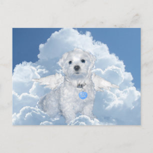 Malteser Rettungsanker Postkarte