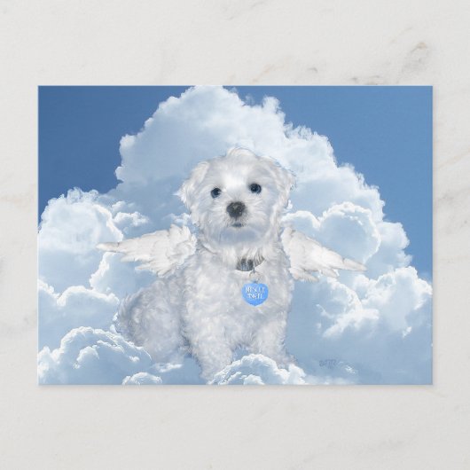 Malteser Rettungsanker Postkarte (Vorderseite)