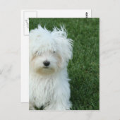 Malteser Rettungskarte Postkarte (Vorne/Hinten)