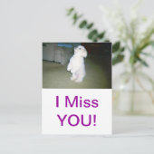 Malteser Sitzplatz Postkarte (Stehend Vorderseite)