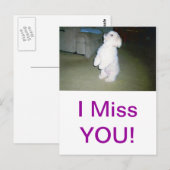 Malteser Sitzplatz Postkarte (Vorne/Hinten)