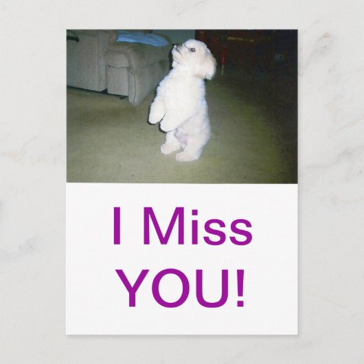 Malteser Sitzplatz Postkarte (Vorderseite)