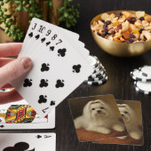 Malteser Spielkarten (In Situ)