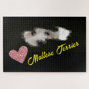 Malteser-Terrier-Augen Einfarbig 1000-Teile-Puzzle Puzzle