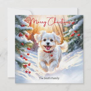 Malteser-Terrier-Hund im Winterschnee Frohe Weihna Feiertagskarte