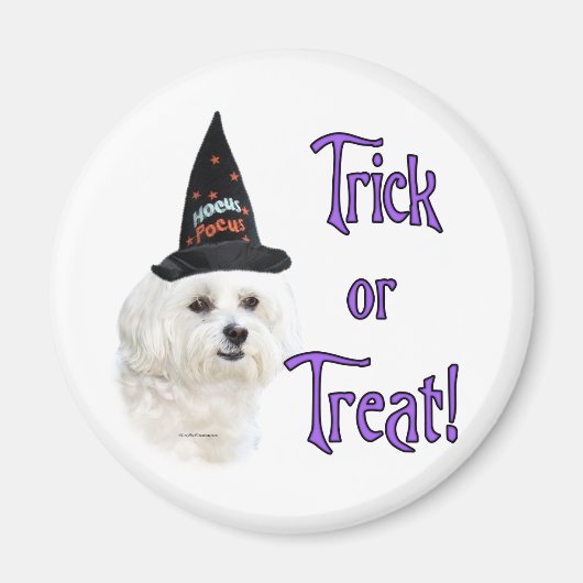 Malteser Trick Magnet (Vorne)