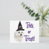 Malteser Trick Postkarte (Stehend Vorderseite)