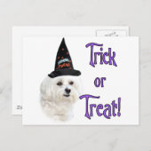 Malteser Trick Postkarte (Vorne/Hinten)