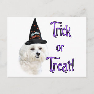 Malteser Trick Postkarte