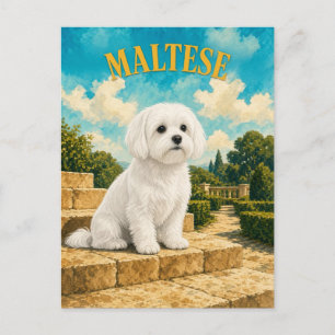 Malteser, Vintage-Wasserfarben-Hundekunst Postkarte