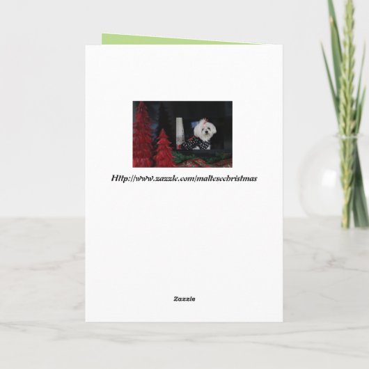 Malteser Weihnachten (Rückseite)